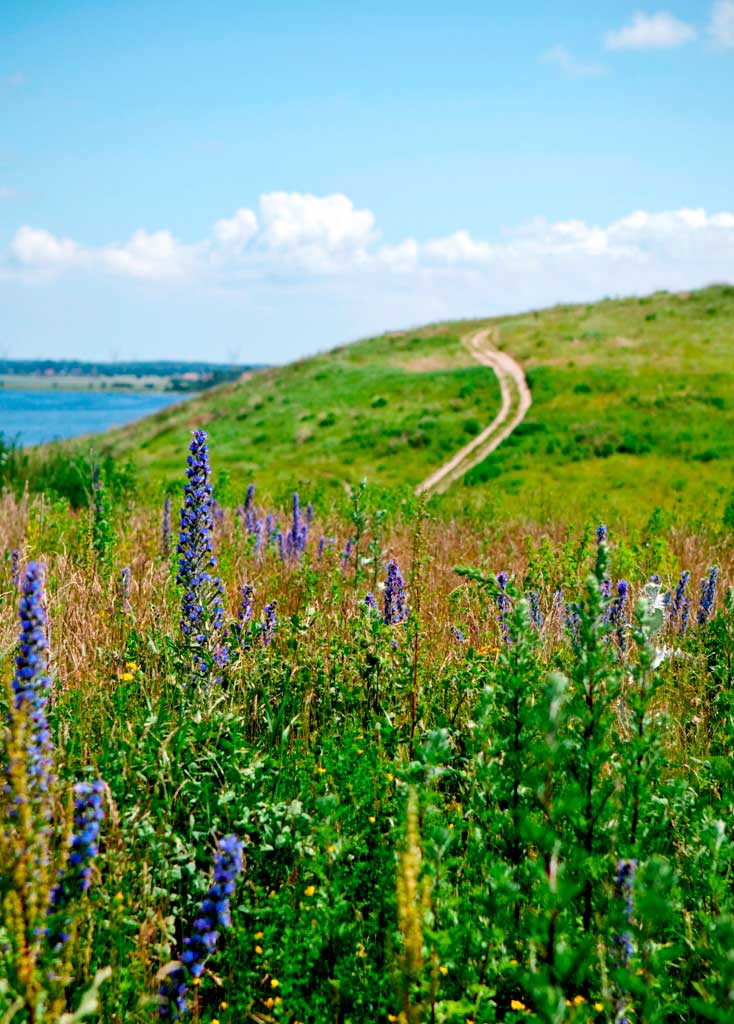 Priser for 2025 er klar Odense Renovation