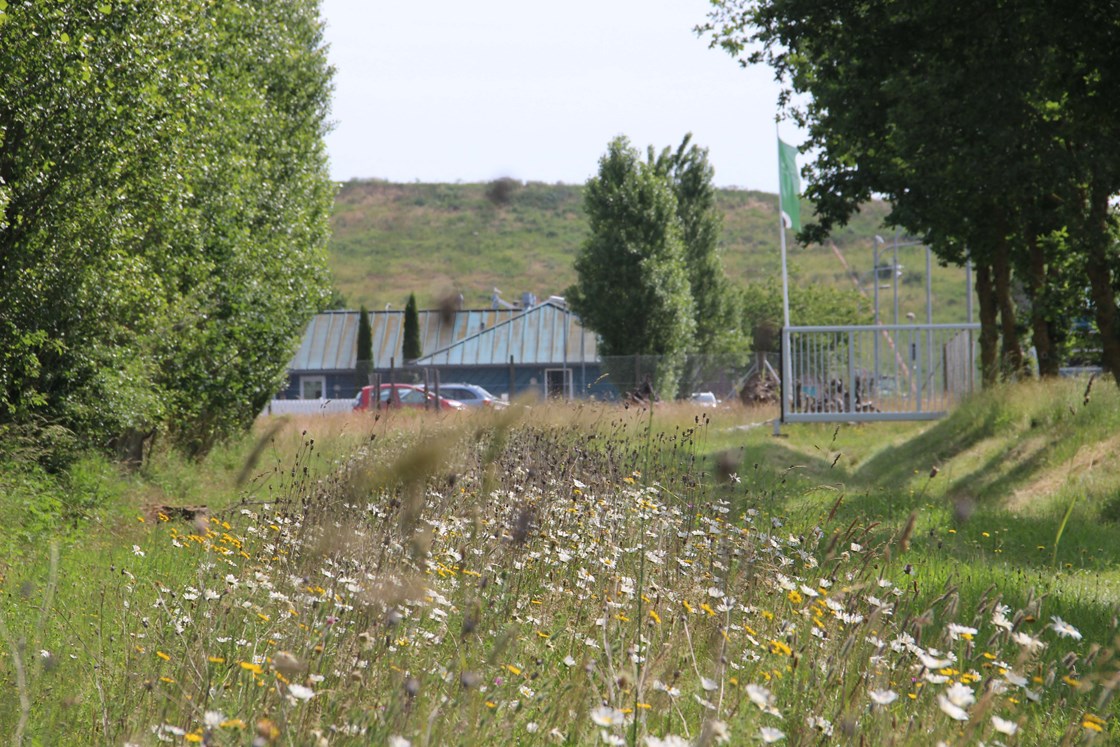 Blomsterbremme sået på Odense Nord Miljøcenter